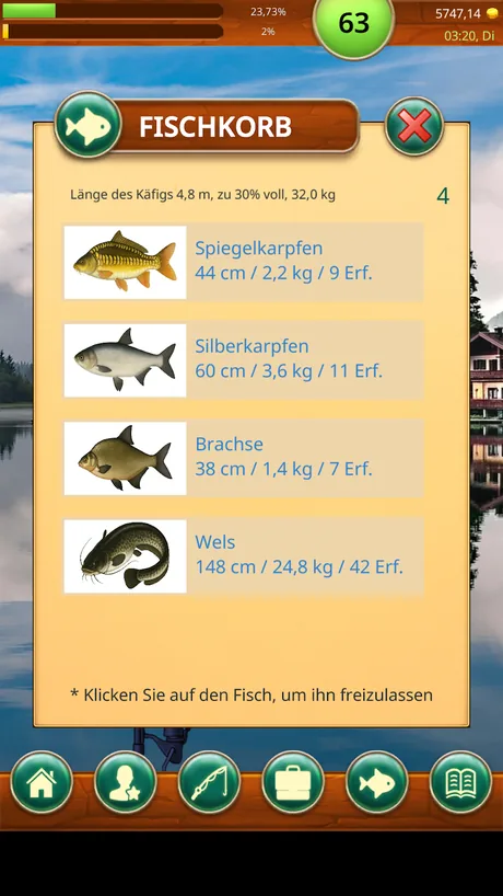Deutschsprachiger Fischkorb in Fishing Baron mit Spiegelkarpfen, Silberkarpfen, Brachse und einem 148 Zentimeter langen Wels