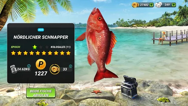 Fangkarte Nördlicher Schnapper in Fishing Clash mit der Seltenheit Episch, zehn goldenen Sternen und der Gewichtsangabe 24.62KG
