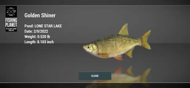 Fangkarte Golden Shiner in Fishing Planet mit Pond LONE STAR LAKE, Datum 2/9/2022 und Weight 0.520 lb